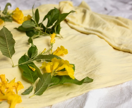Guide to Natural Dye Clothing for Kids: What to Know